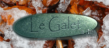 Infolettre de novembre