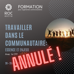 Travailler dans le communautaire: essence et enjeux